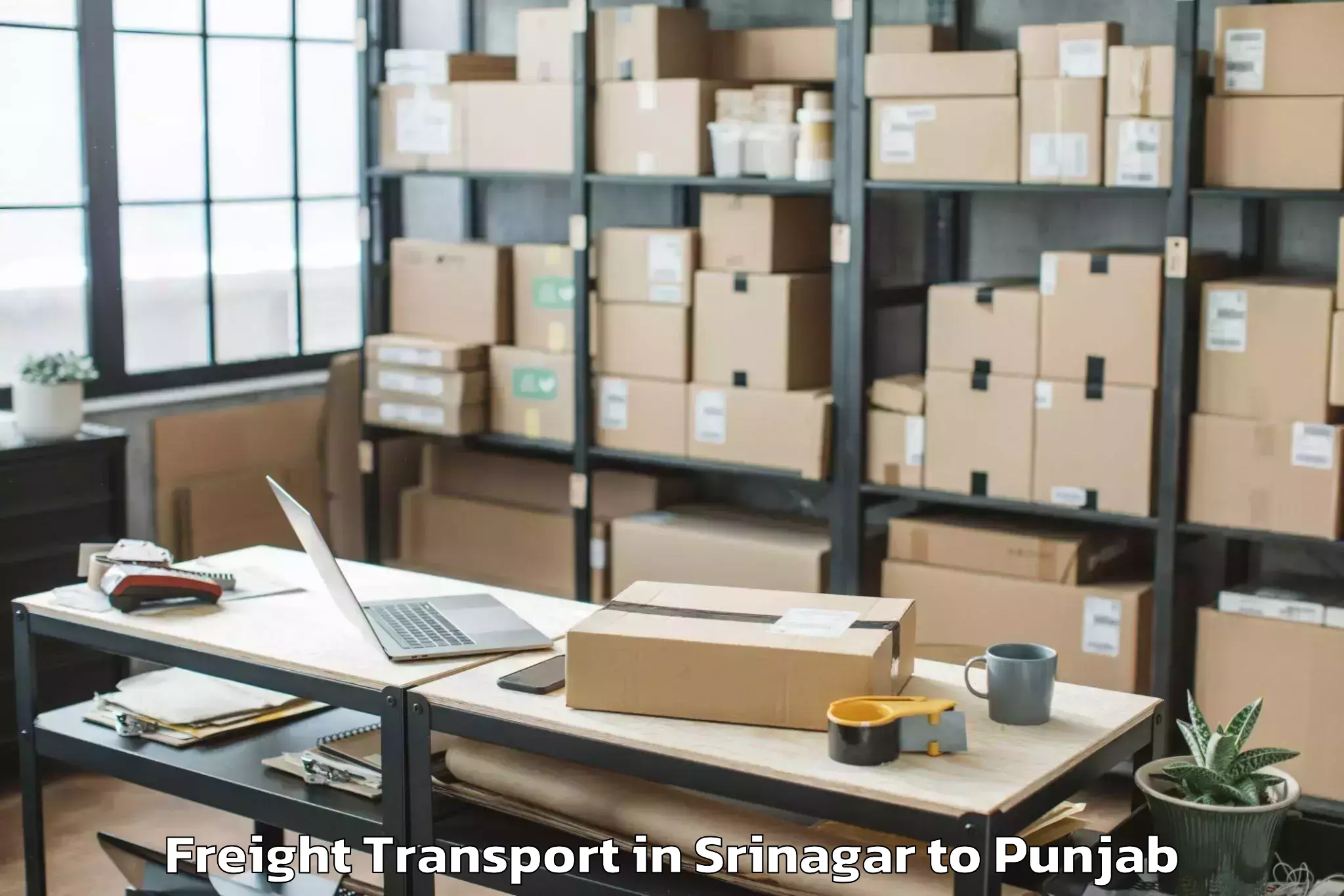 Affordable Srinagar to Rajpura Freight Transport